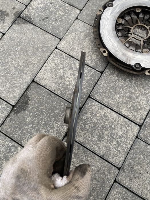 Продам щеплення в зборі