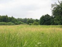 Продаж земельної ділянки,  с. Грушів