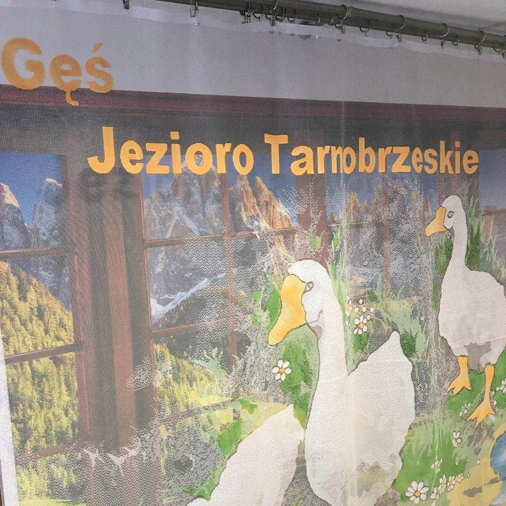 Firanka gąski 150x150cm firana żakard dla dzieci gęsi kolorowe firany