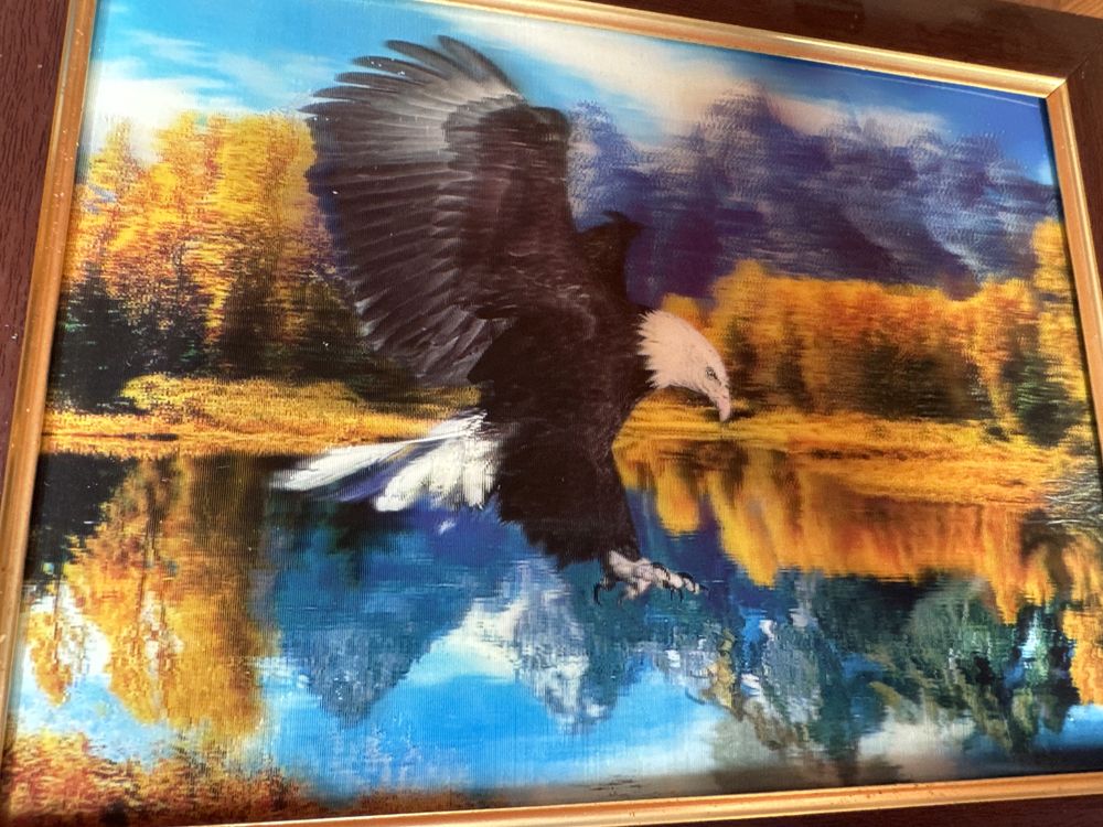 Orzeł polujący w górach - obrazek 3D w drewnianej ramie