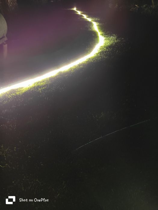 Taśma LED Promitto Lighting: 155141