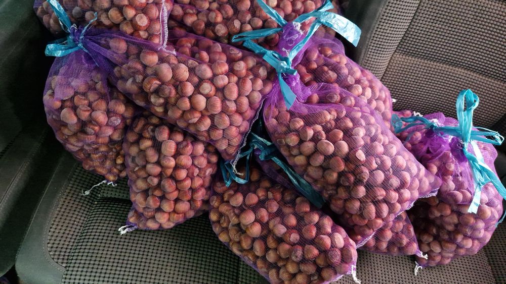 Фундук.  Свіжий урожай.  Горіх. Ліщина. Опт . Роздріб. Фісташка.  Мед.