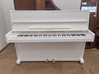 Białe pianino Legnica