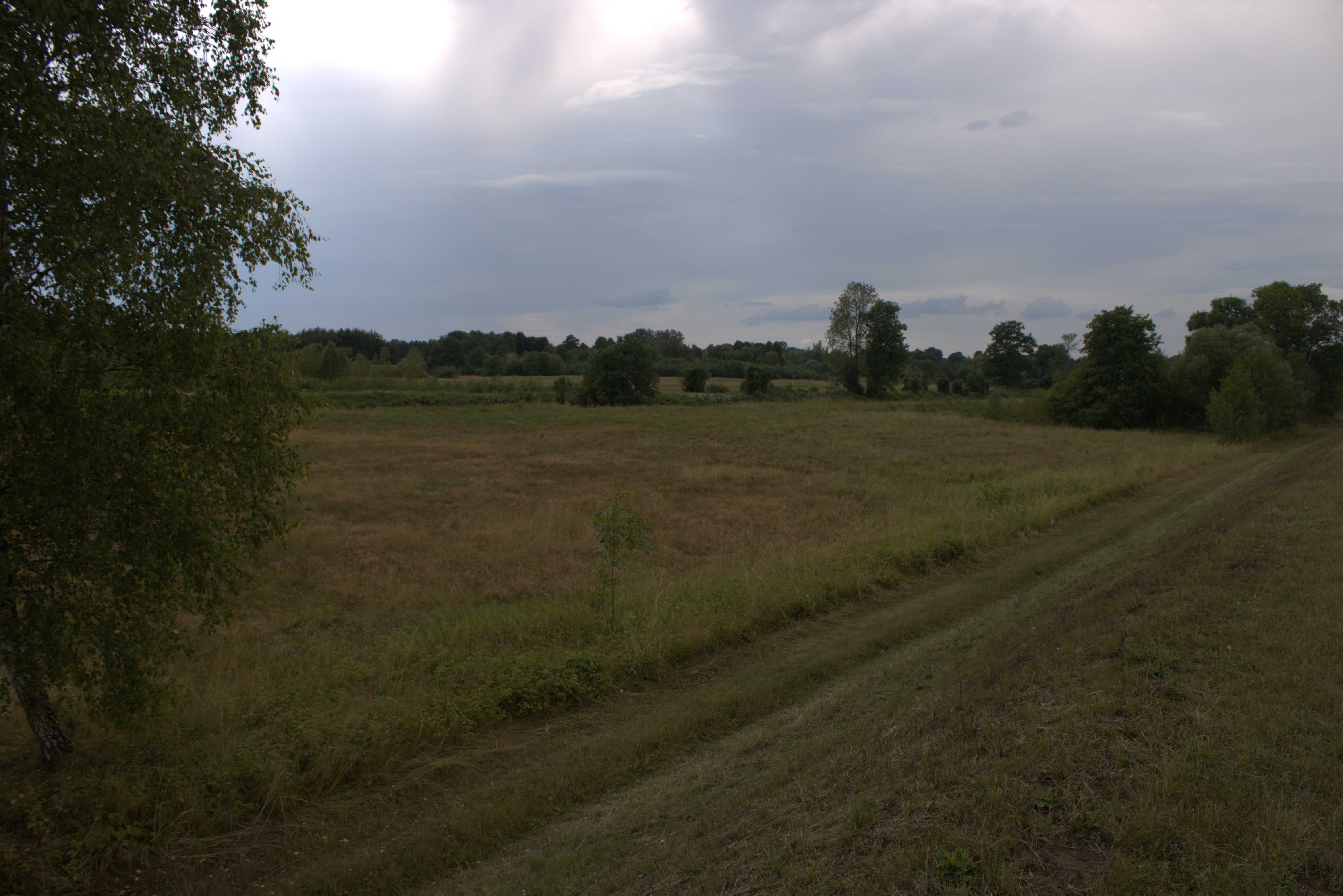 Działka 1,5 hektara na sprzedaż