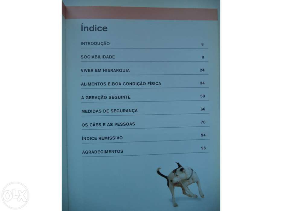 O que é que o meu cão está a pensar? - G. Bailey