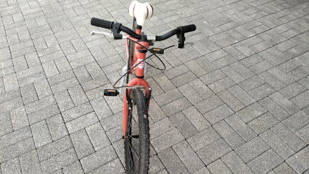 Bicicleta roda 20
