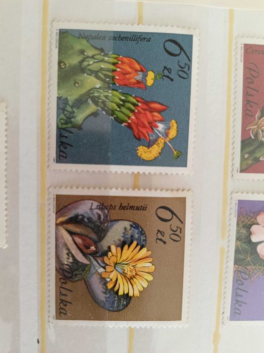 Znaczki seria sulkulenty 1981