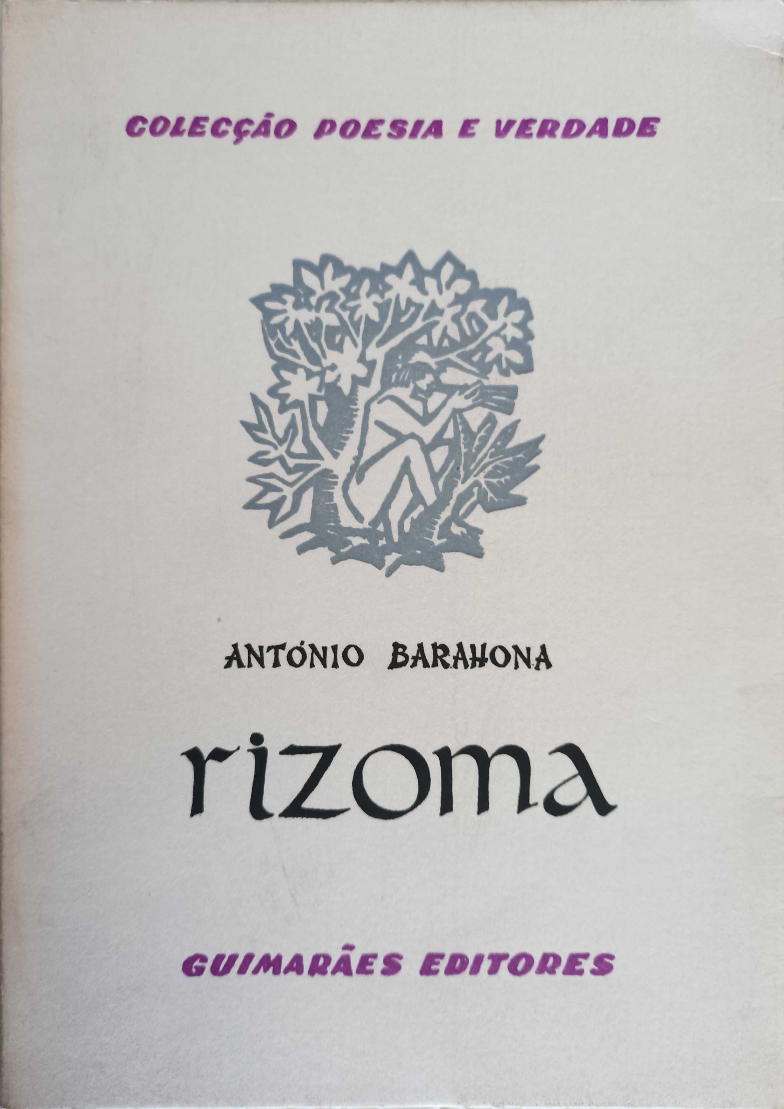 Rizoma, António Barahona