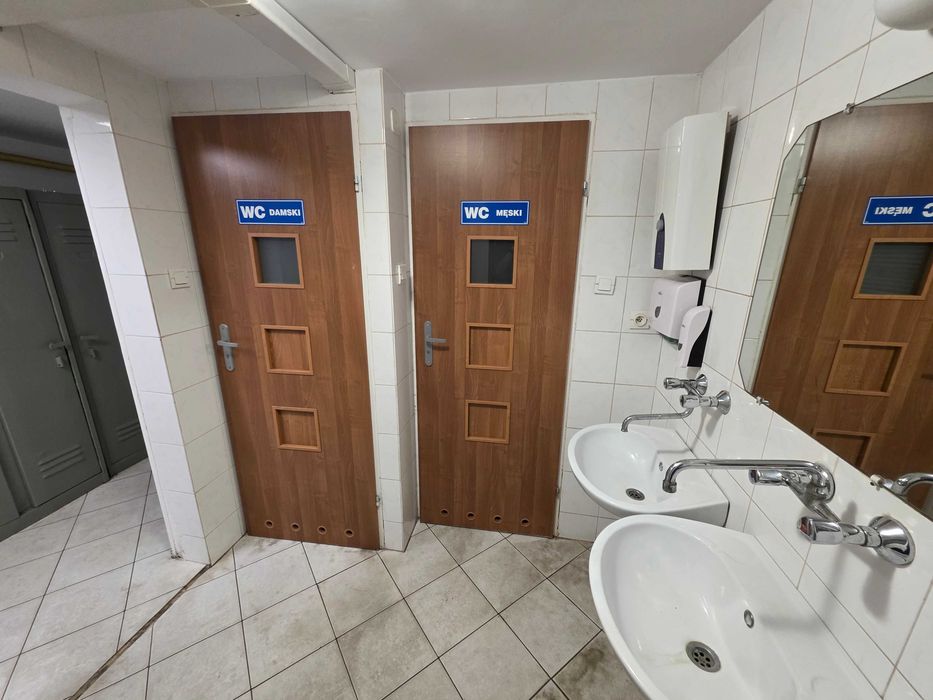 Lokal użytkowy do wynajęcia 252 m2