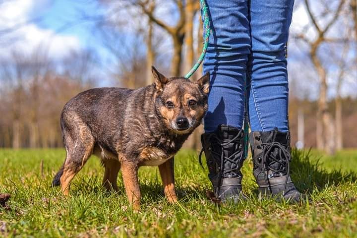 Każdego dnia czeka na cud… Czy nieśmiała Karioka doczeka się DOMU?