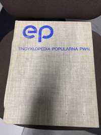 Encyklopedia Popularna PWN