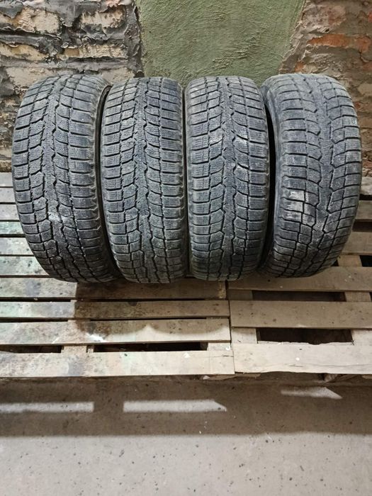 Зимня резина TOYO