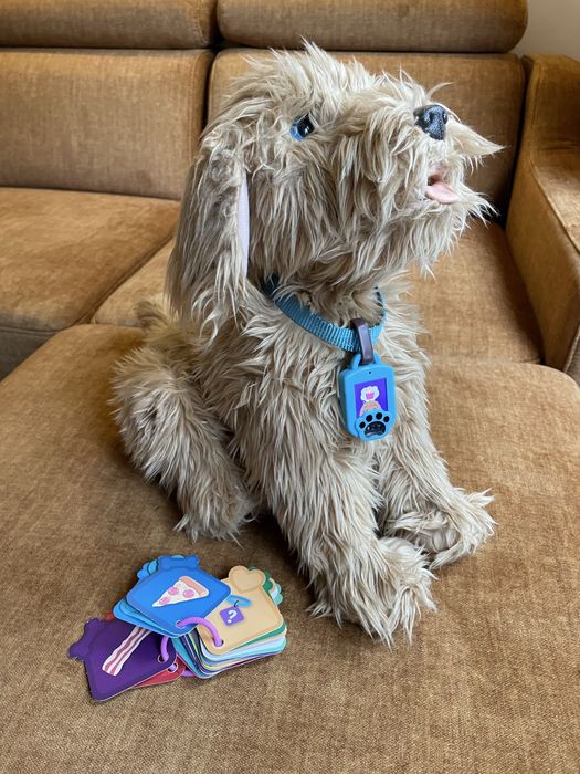 Pies Piksel – piesek interaktywny