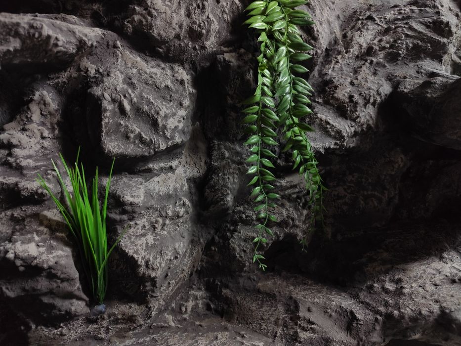 Terrarium na zamówienie, terrarium z wystrojem z plyty
meblowej.