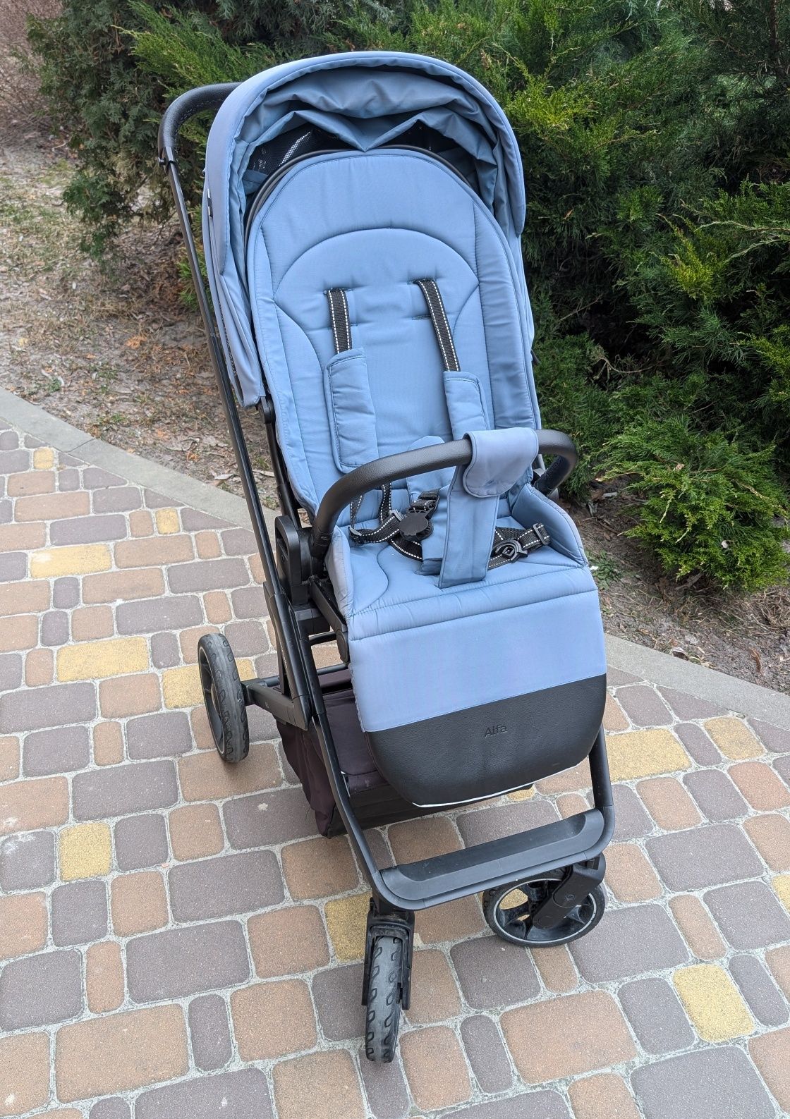 Детская прогулочная коляска Carrello Alfa с реверсивным блоком