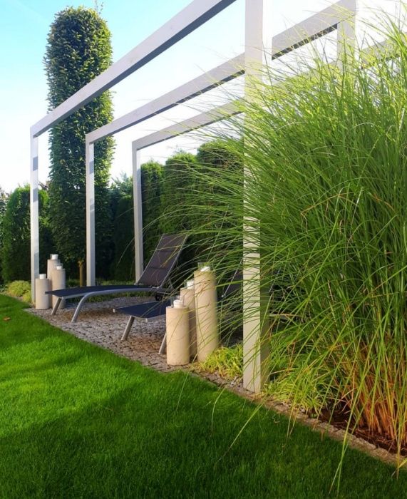 1кг газонная трава универсальная для озеленения насіння супер якість!