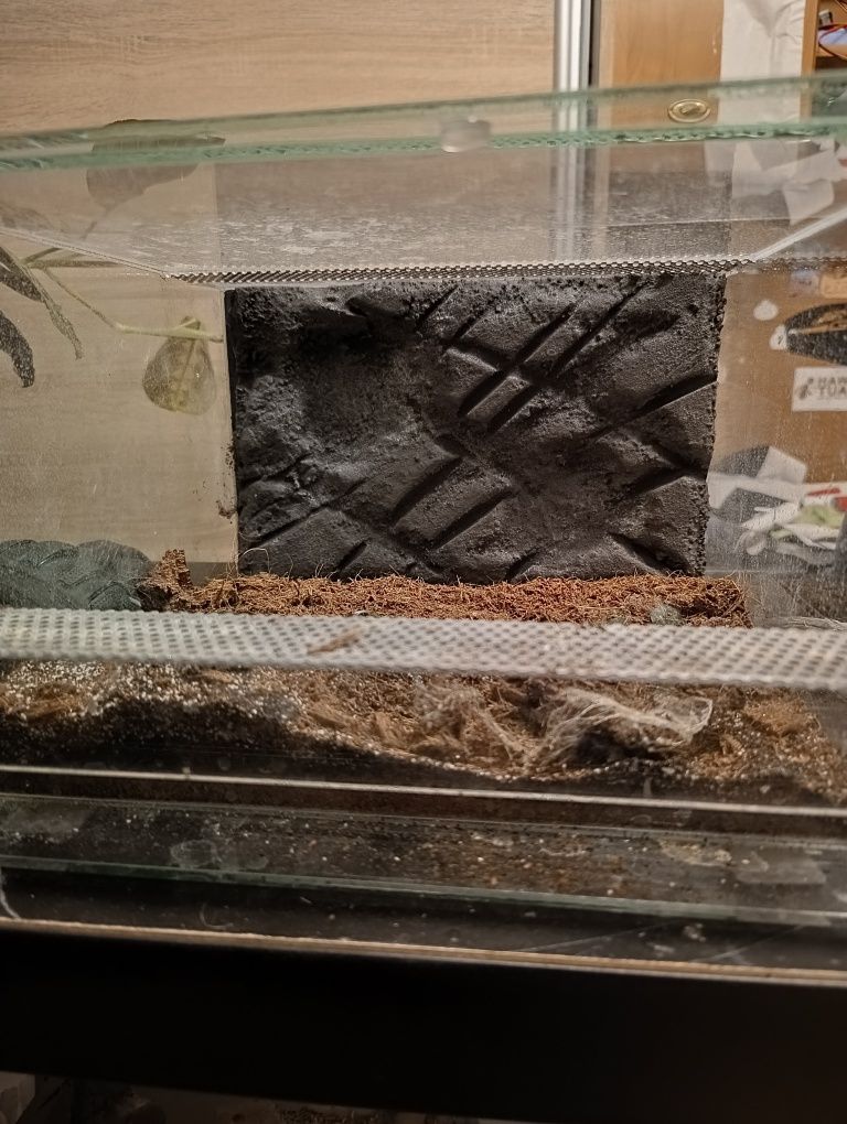 Ścianki do terrarium