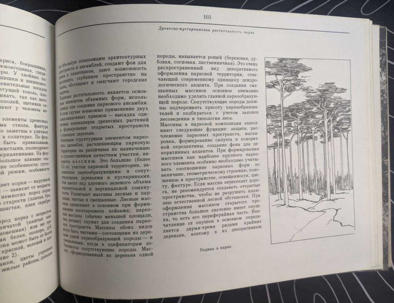 А Д Жирнов Искусство паркостроения