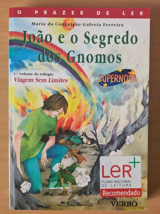 Livro juvenil "João e o Segredo dos Gnomos"