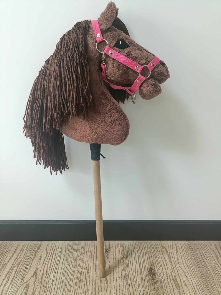 Hobby horse (hobby horsing)