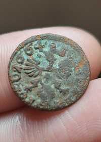 Stara moneta szeląg 1664 antyk zabytek numizmatyka