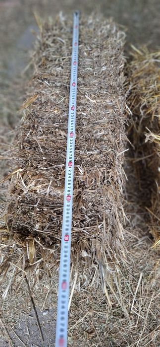 Солома вівсяна пшенична, сіно люцерна