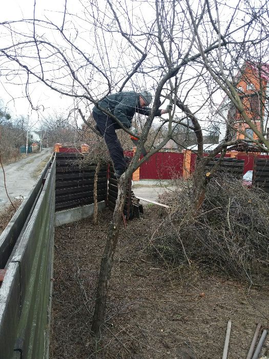 Уборка участка. Удаление деревьев. Oбрезка, корчевание пней. Покос