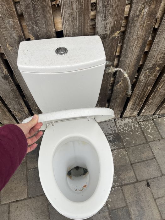 унітаз, у робочому стані, все працює