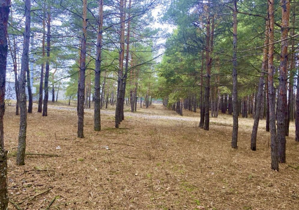НАЙКРАЩА ДІЛЯНКА у Кийлові 48 сот. з Електр. 50 кВт. ЛІС.ВИХІД ДО ВОДИ
