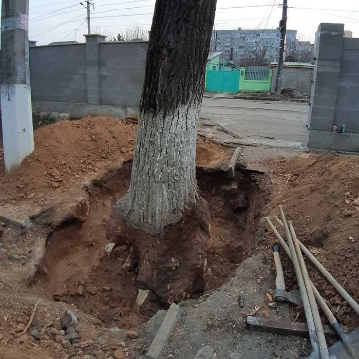 Cептик под ключ - Строительные услуги - Земляные работы - Копка землі