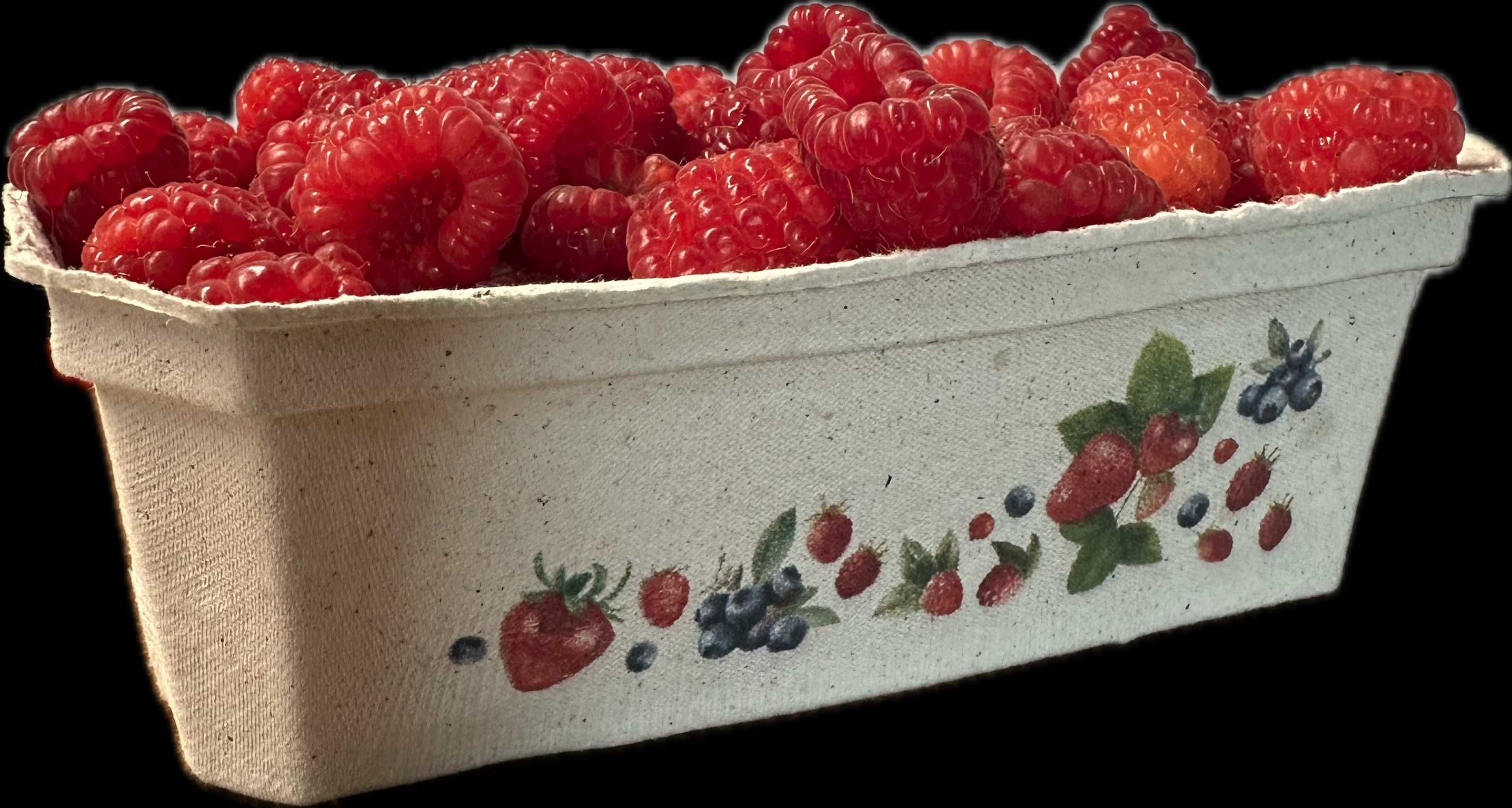 Pojemniki OPAKOWANIA na maliny owoce borówki 400gr-400szt WYSYŁKA NADR