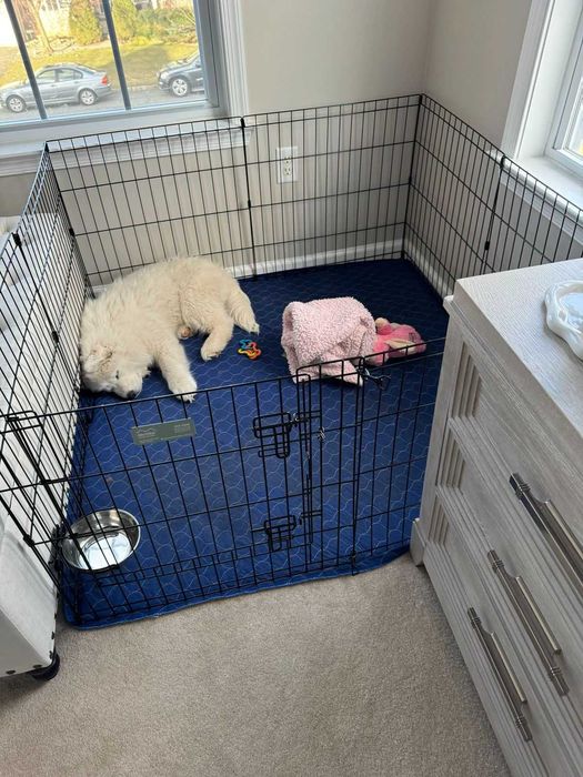 Манеж клетка 180х60х61h 8 секций с дверкой для собак щенков кролика