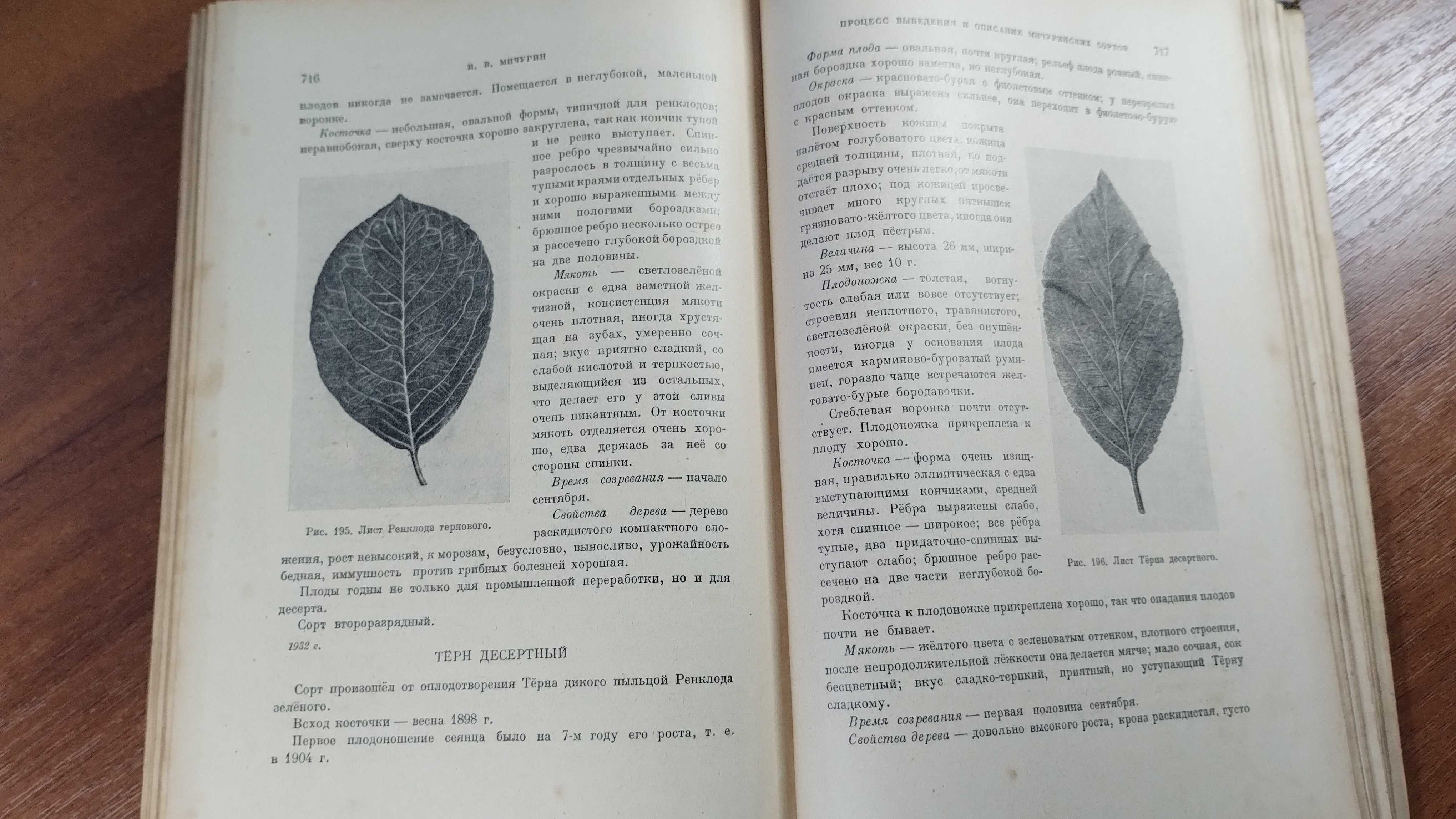 Мичурин Избранные сочинения (1948), Жизнь и работа Мичурина (1952)