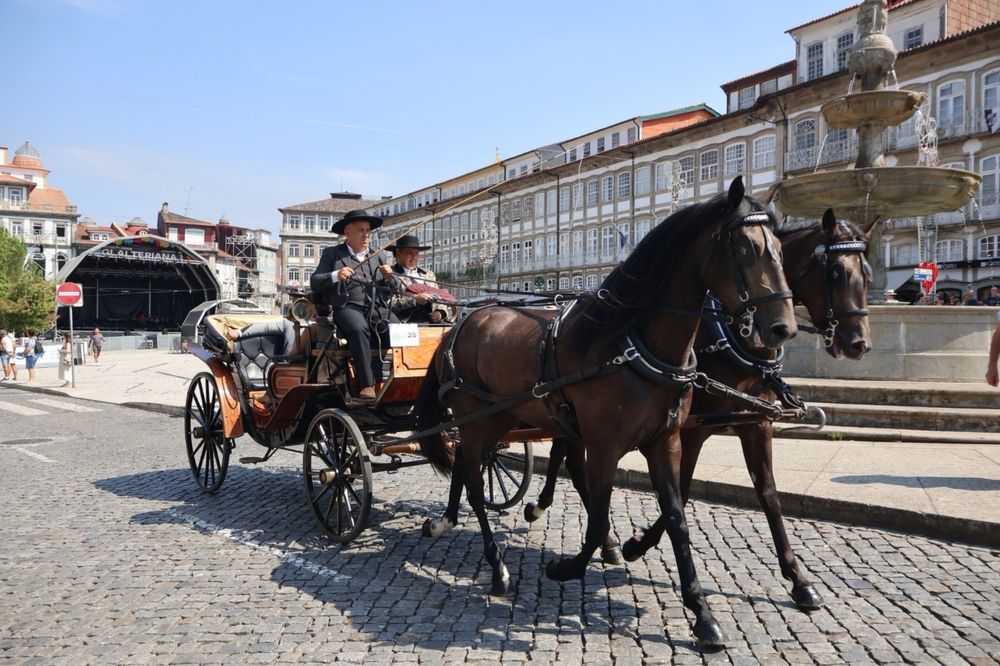 Parelha de cavalos baios