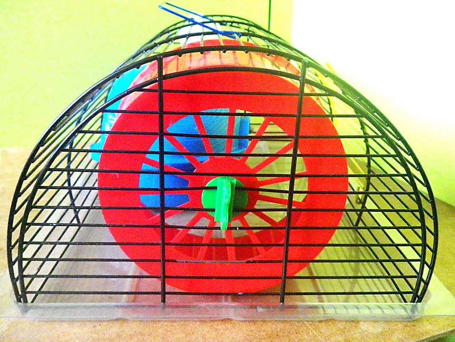 Клетка для грызунчика с удобствами (БУ)