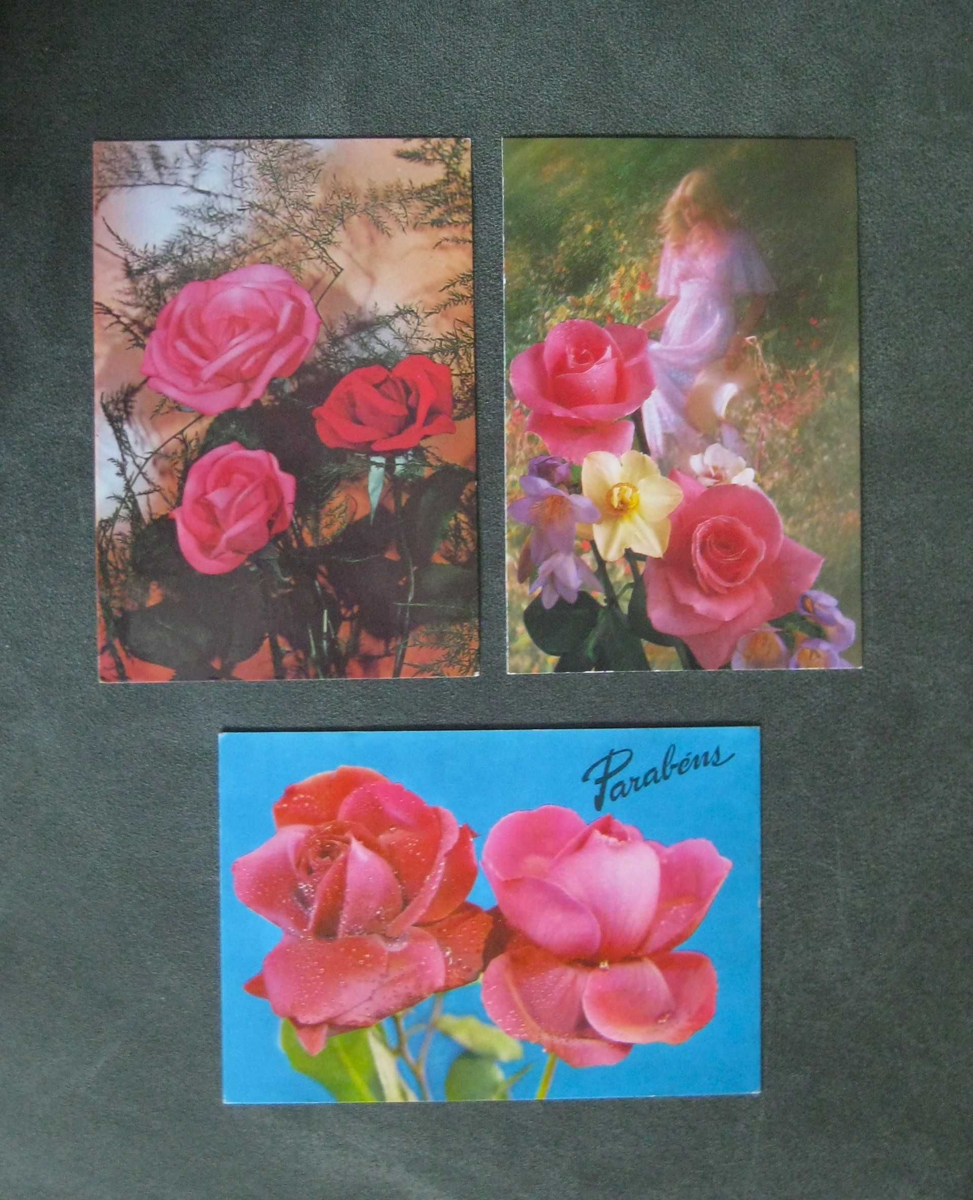 Conjunto de 7 Bilhetes Postais Rosas e Mais Flores