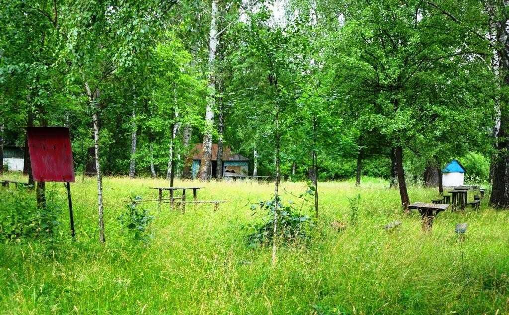 (7) Продаж ділянки під садівництво 12 соток, с. Рибаче (1143)