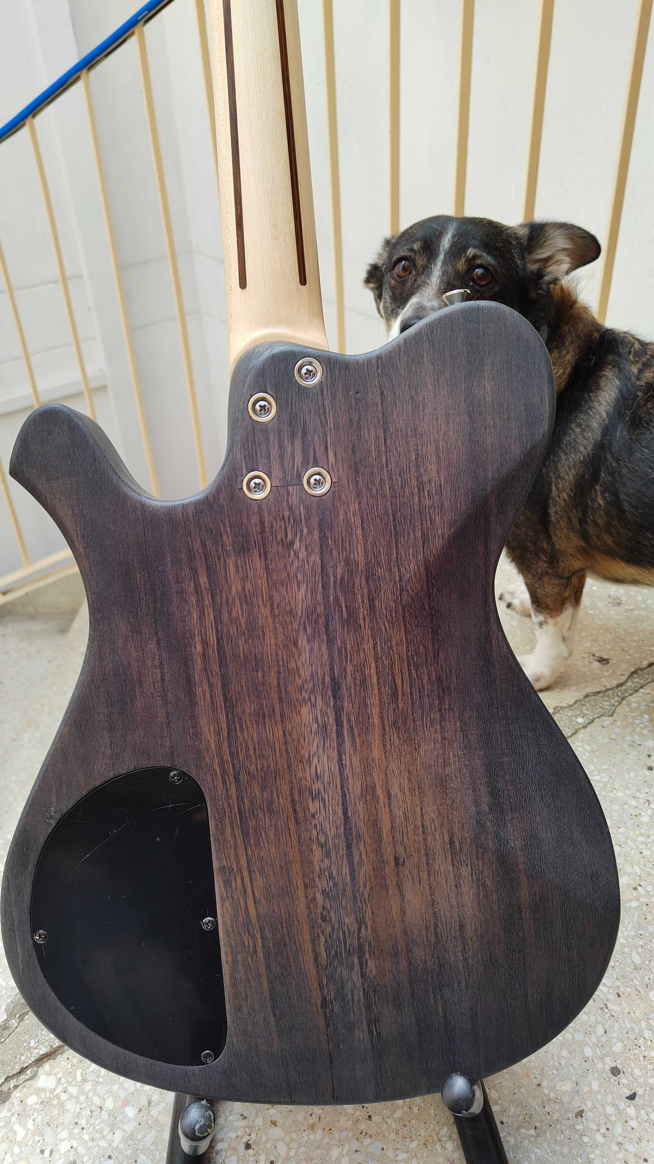 Gitara butikowa Śliwa Custom telecaster P90