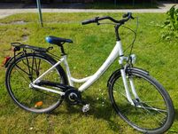 Holenderka aluminiowa 28"