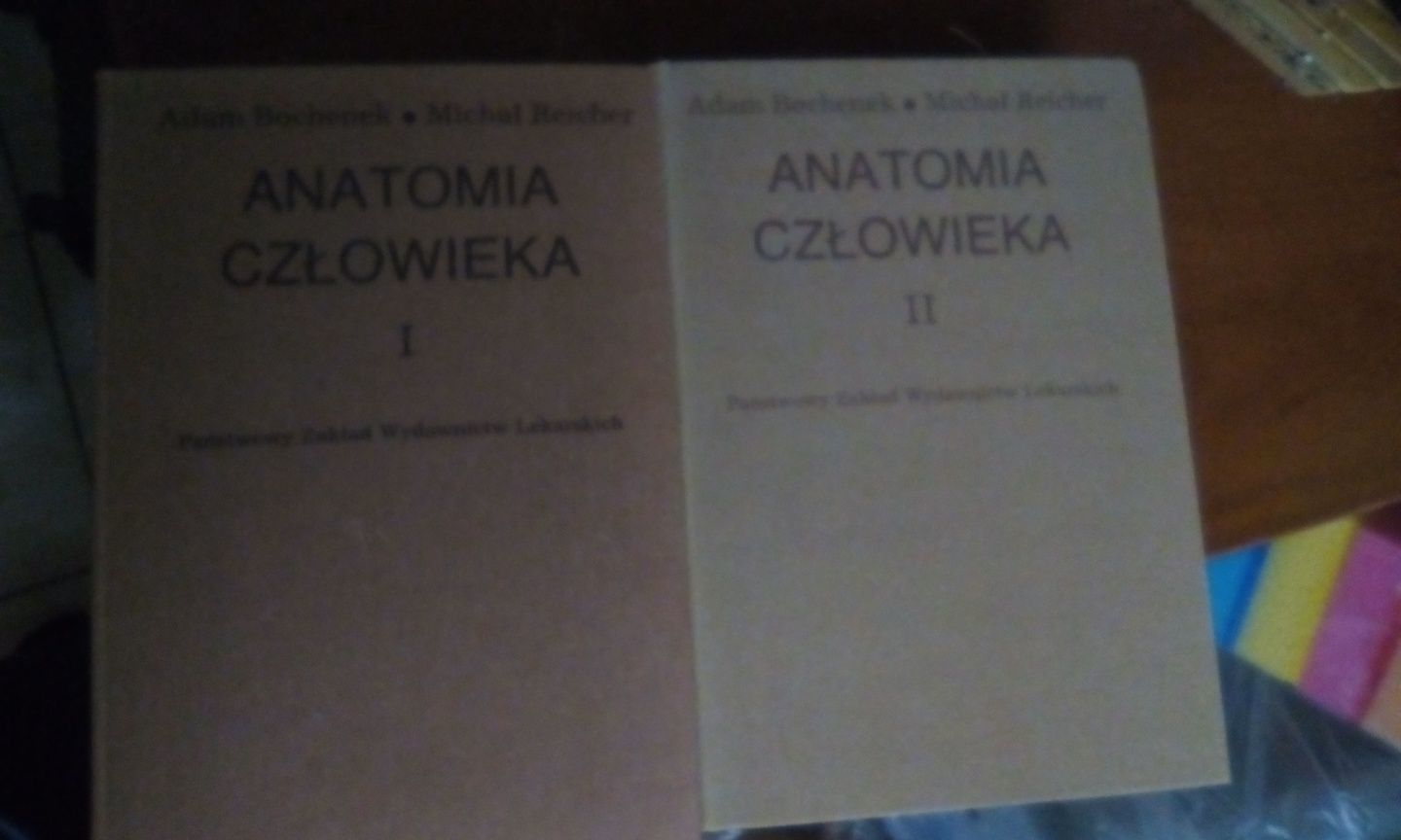 Anatomia człowieka 1-5 Bochenek Reicher komplet