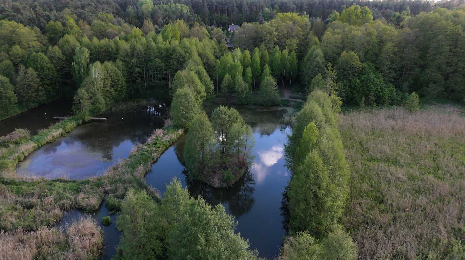 Domek z jacuzzi całoroczny