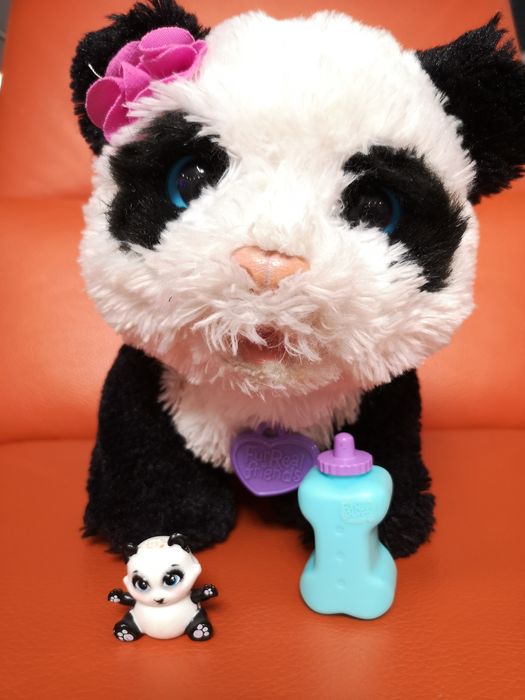 Panda Hasbro Pom Pom zabawka interaktywna