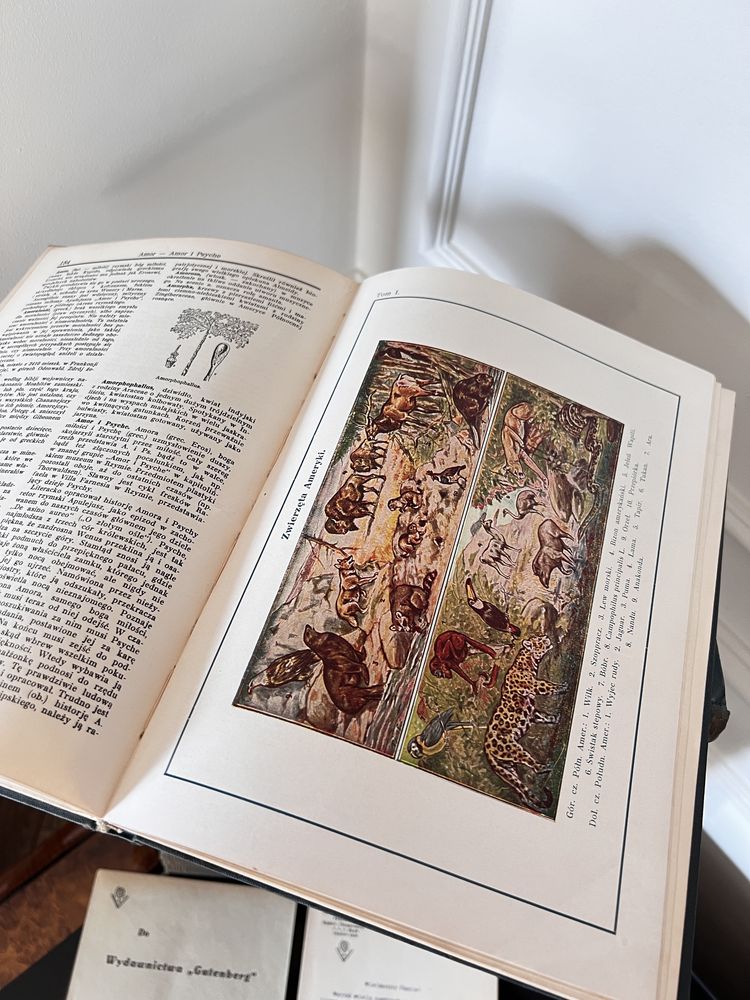 Encyklopedia encykopedja Powszechna Gutenberga 18 tomów 1930 vintage