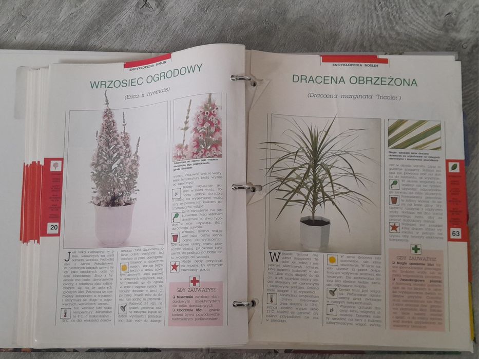 Segregator Magia roślin ,encyklopedia roślin
