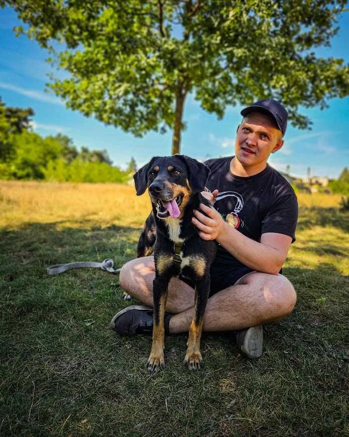Fenomenalny, niesamowicie proludzki, aktywny psiak do adopcji!