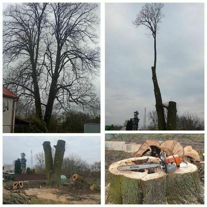 Wycinka drzew, Podnośnik koszowy, Prace ogrodnicze