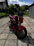 Honda MSX 125 Honda Grom 125