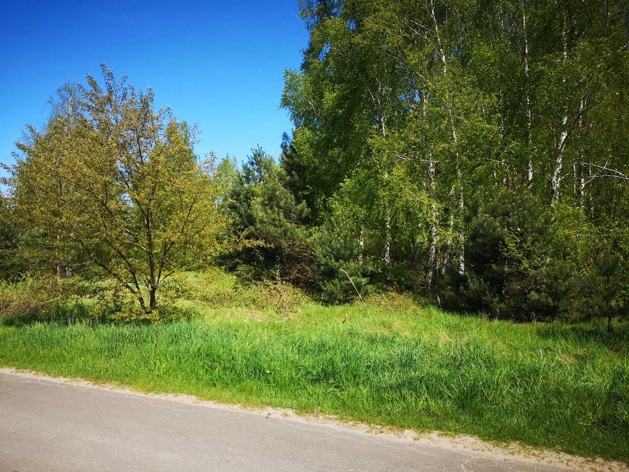 Działka rolno budowlana Jasionka k. Sokolniki Las 1175 m2
