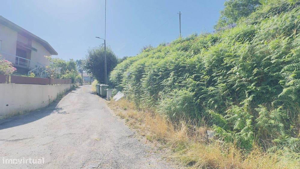 Terreno Rústico em Vila de Andorinho