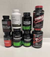 Трибулуc OstroVit, Olimp, Biotech Tribooster, NOW, SAN, Nutrex